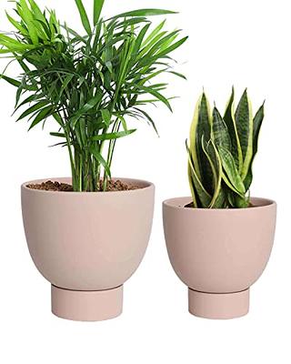 PLANTARA 32 in. and 23.6 in. H Concrete Tall Solid White planter, Large  Outdoor Plant pot, Modern Tapered Flower pot for Garden PA099S2-8011 - The  Home Depot