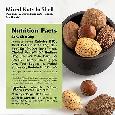 Health Benefits of Nuts: Almonds, Cashaews, Walnuts, Hazelnuts, Pecans &  Peanuts