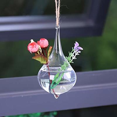 Creative Simple Clear Glass Vase Tubes Set Hanging Flower