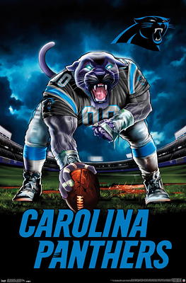 NFL Carolina Panthers - Drip Helmet 20 Poster