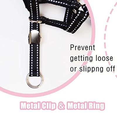 High Top Halter + Safety Clip