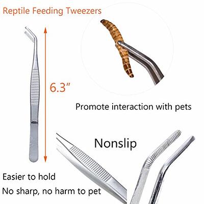 Buy Tweezers for Feeding Reptiles