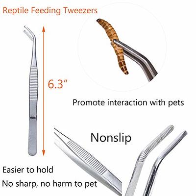 Reptile Feeding Tongs Steel Tweezers Amphibians Feeder Tweezer