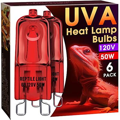 Briignite G9 Infrared Heat Lamp Lamp, Turtle Reptile Red 2 Light, 50W, Yahoo Pack Lizard, Heat Base Shopping Reptile Reptile, Mini - Bulbs Night Dragon for 6 Bearded UVA Dimmable Pin Mini Bulbs Heat