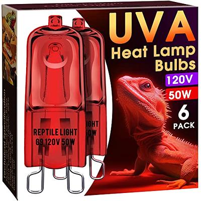 Briignite G9 50W, Dragon for Heat Night Bearded Base 2 Heat Light, Bulbs - 6 Dimmable Yahoo Mini Lamp UVA Turtle Bulbs Infrared Mini Reptile Red Shopping Heat Reptile Reptile, Lizard, Pack Lamp, Pin