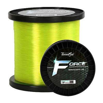 BLUEWING 100% Pure Fluorocarbon Fishing Line 25yd 30lb Fishing Fluorocarbon  Leader Line Clear Thin Diameter Fishing String for Freshwater and Saltwater  Fishing 