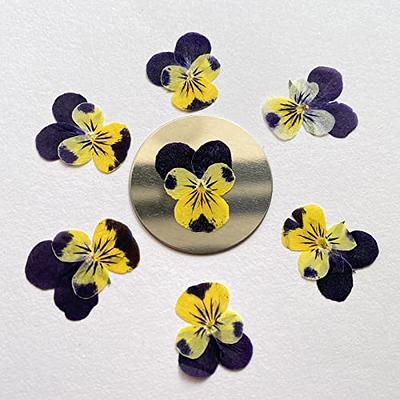 Pressed Flower, Flowers For Crafts, Pressed Resin, Mixed Dry Flowers, Flower  Art, Dried Flower, Jewelry Making - Yahoo Shopping