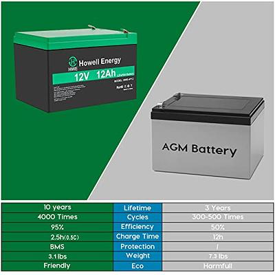 Nermak 2 Pack 12V 12Ah LiFePO4 Deep Cycle Battery, 2000+ Cycles Lithium  Iron Phosphate Rechargeable Battery for Solar Power,UPS,Lighting, Power