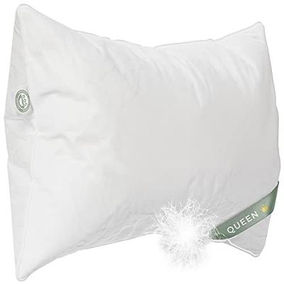 Medium Down-Alternative European Bed Pillow Arsuite