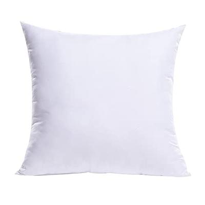 Ichrysania 18 x 18 Pillow Inserts Set of 2 with 100% Cotton Cover Couch  Pillows