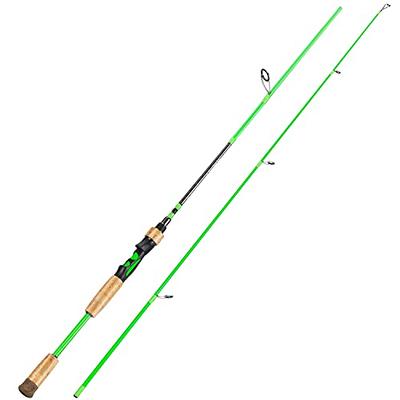 One Bass Fishing Rod, 2-Piece Graphite Spinning Rod & Casting Rod