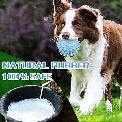 6pcs Dog Toys Natural Latex Rubber Balls Soft Bouncy Durable for Small  Medium Large Dogs Interactive Chew Fetch Play Dog Toy For Medium, Large and Small  Dogs, Durable Dog Toys