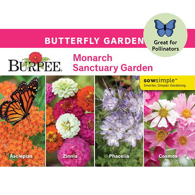 Burpee Early Blooming Flower Garden Starter Garden Flower Seed Collection,  1-Pack