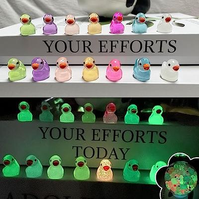 Shappy Glowing in The Dark Tiny Ducks Glitter Mini Resin Ducks with  Sunglasses Colorful Small Luminous Mini Figures Bulk Resin Miniature  Dollhouse