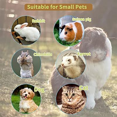 Automatic Pet Feeder and Waterer for Dog Cat Hamster Rabbit Small