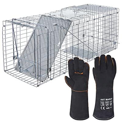 EPESTOEC 17.3 Heavy Duty Squirrel Trap, Folding Live Small Animal Cage  Trap, Humane Cat Traps for Stray Cats, Rabbits, Raccoons, Skunks, Possums  and