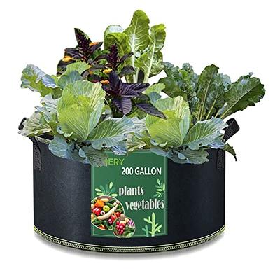 iGarden Grow Bags Tall, 10 Gallon Grow Pots 6 Pack with Handles, Heavy Duty  320G Thickened Nonwoven Fabric Plant Bag for Vegetables, Black