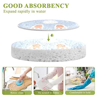 Dish Sponge Oil Free Household Cleaning For Kitchen Non-Scratch Cellulose  Scrub Sponge Dual-Sided Dishwashing