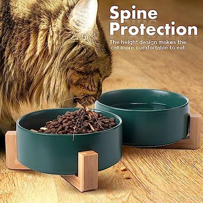 FOREYY Elevated Cat Bowls with 2 Ceramic Bowls and 2 Stainless Steel Bowls,Raised  Cat Food Water Bowl with Iron Stand,Porcelain Pet Dishes for Cats and Small  Dogs,16 Ounces,Dishwasher Safe(Gray) - Yahoo Shopping