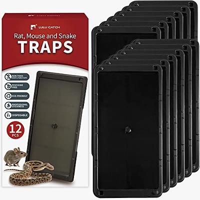  Sticky Mouse Traps Extra Large,Clear Mouse Glue Trap