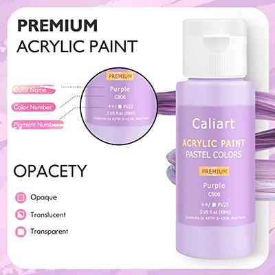 Caliart Acrylic Paint Set with 12 Brushes, 24 Colors (59ml, 2oz