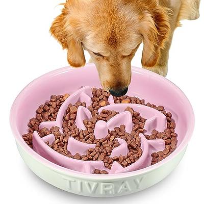 Waterhog Dog Bowl Mats  Aqua Shield Pet Feeder Placemat