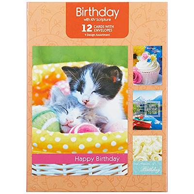  KILONEFE Greeting Card Storage & Organizer Box with 6