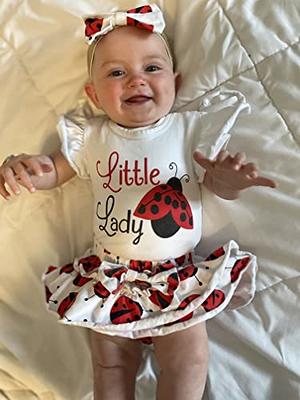 Dress Size 12 Months Baby Girl ladybug Headband Outfit Set 3