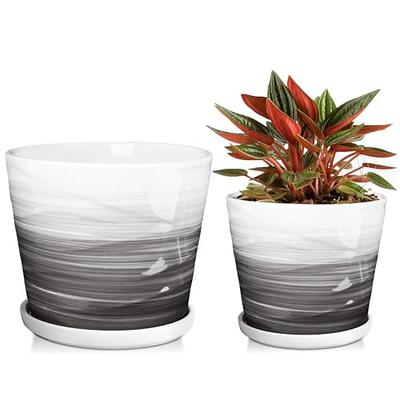 LE TAUCI Large Plant Pots Set, 10/8/6 Inch Ceramic Planters for