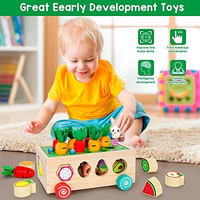  Toddlers Montessori Toys for 1 2 3 Year Old, Wooden Educational  Shape Sorting Toys Gifts for Kids 2-4 Girl Boy Baby, Preschool Learning  Fine Motor Skills Game, Carrot Harvest Toddler Toys