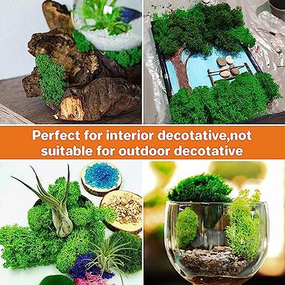 1 Pack Aftificial Preserved Moss Terrarium Green Moss Gardening