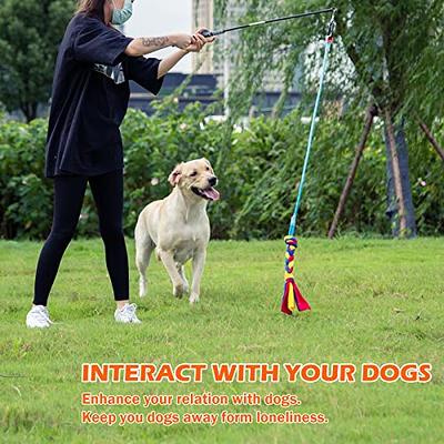 Flirt Pole for Dogs, Dog Chew Toys, Durable Dog Rope Toys, Puppy Toys for Teething Small Dogs, Flirt Stick Interactive Dog Toys for Exercise Chase