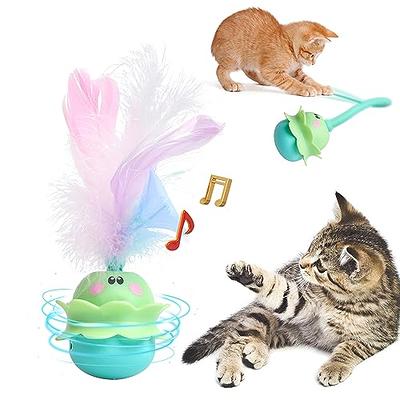 Wmicaldom 3-in-1 Interactive cat Toys Puzzle Leakage Food Device