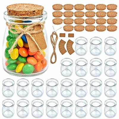 FISHOAKY 4 Pack Overnight Oats Containers with Lids and Spoons, 12 oz Glass  Mason Jars for Overnight Oats with Measurement,Overnight Oats Jars Airtight  Jars for Milk, Cereal, Fruit, Yogurt and More 