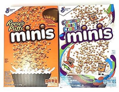 Cinnamon Toast Crunch Minis Family Size Cereal - 19oz - General Mills :  Target