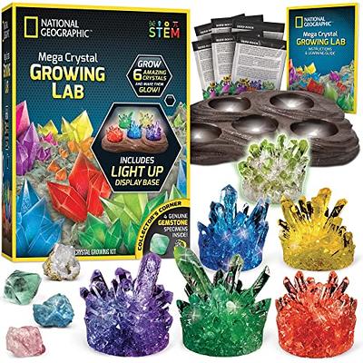  Crystal Growing Kit for Kids, PIBEX 6 Color 12 Crystals  Chemical Science Experiment for Age 8-12, Grow Fast in 24H, DIY STEM  Project Educational Craft Set, Family Toy Gift for Boys