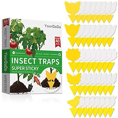  36 Pcs Sticky Traps for Fruit Fly, Whitefly, Fungus