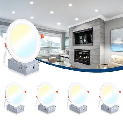 12 in. x 24 in. Ultra Thin LED Panel Light 22-Watt 5 Color Selectable LED  2100 Lumens Flush Mount Damp Rated UL Listed