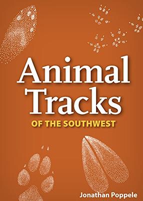 Animal Tracks of Southwest -NEW