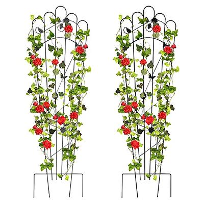 Qty 2 - Wrought Iron 24 Bernice Ball Topiary Flower Trellis, Metal Plant  Climber, Vegetable Garden Round Support, Rustic Yard Sculpture - Yahoo  Shopping