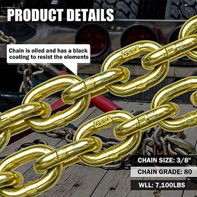 FITHOIST G80 Transport Binder Chain 5/16 Inch x 10 Foot, Tow Chain with  Clevis Grab Hooks, 4,900 lbs Safe Working Load