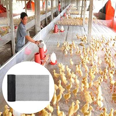 BUJIATANG Plastic Fencing Poultry Breeding Netting Chicken Net and Garden  Netting Balcony Protection Net, for Poultry Farming, 50cm Fence - Yahoo  Shopping