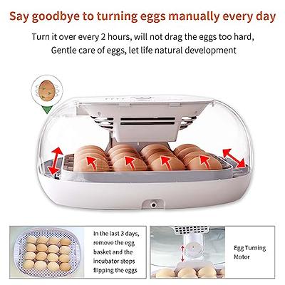 MARKBIT Hemispherical Silicone Egg Cleaning Brush,Egg Brush for Fresh Egg,  Egg Washer Tool,Reusable and Easy to Clean