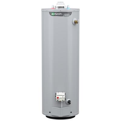 A.O. Smith Signature 100 30-Gallon Tall 6-year Warranty 4500-Watt Double  Element Electric Water Heater in the Water Heaters department at