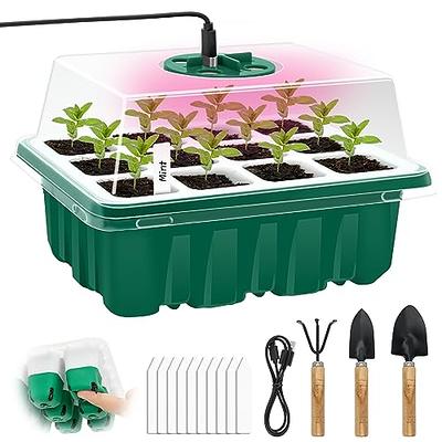 30 Slots Seed Organizer Storage Box, Premium Seed Containers for