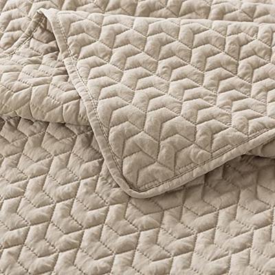 WDCOZY Beige Queen Size Quilt Bedding Sets with Pillow Shams, Cream Tan  Lightweight Soft Bedspread Coverlet, Quilted Blanket Thin Comforter Bed  Cover