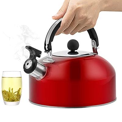 Amagogo Lightweight Camping Kettle, Water Boiler, Kitchenware Stainless  Steel Tea Kettle Compact Tea Pot for Campfire Picnic Fishing  Mountaineering, Siiver - Yahoo Shopping