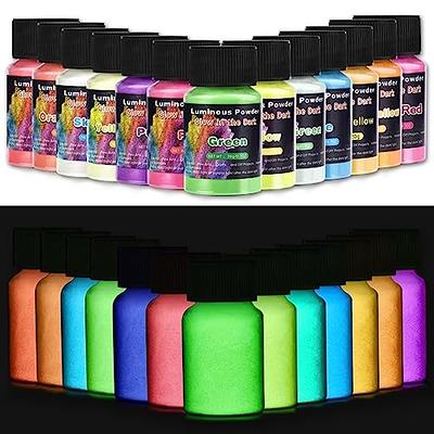 Glow Powder Pigment Variety- 6 Colors Fluorescent in Daylight Pack