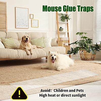 48 Pack Mouse Glue Traps Large Size Mouse Traps Sticky Pad with Enhanced  Stickiness Mouse Rat Sticky Traps Board for Rodent Cockroach and Other