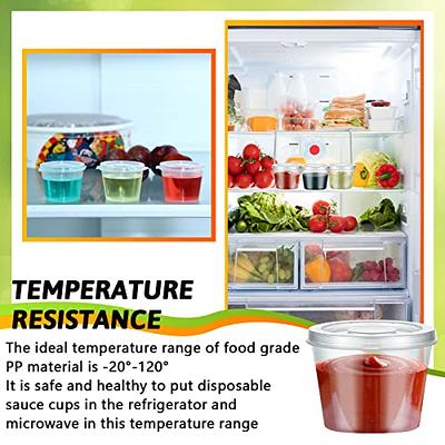 2oz Disposable Leak Proof Plastic Condiment Containers with Hinged